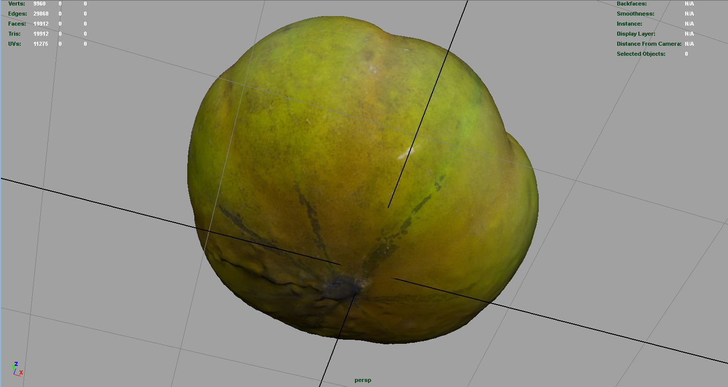 TOMATO 1 Low-poly 3D model_12