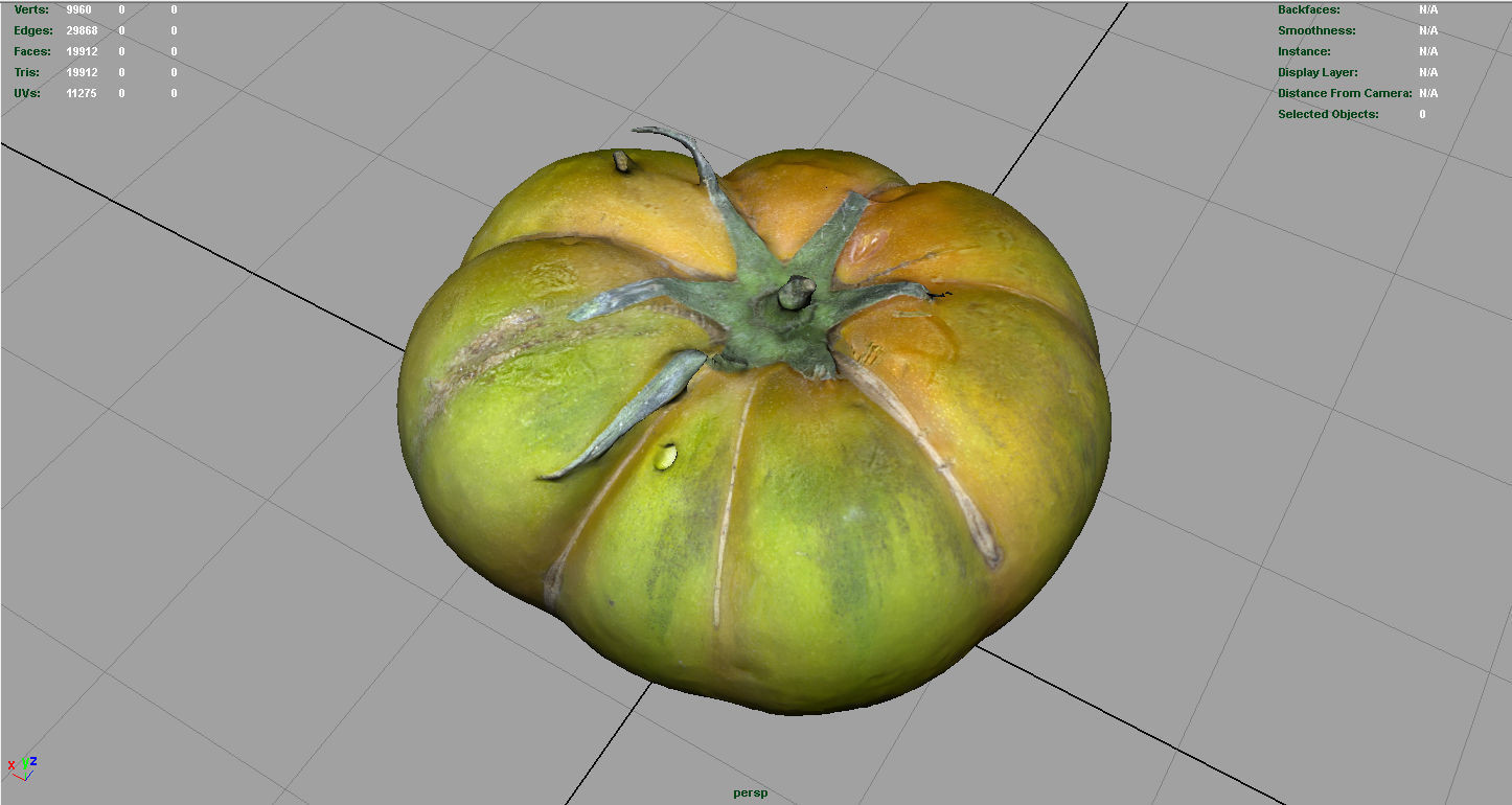 TOMATO 1 Low-poly 3D model_5