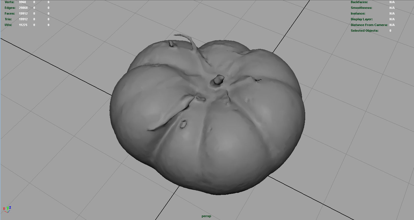 TOMATO 1 Low-poly 3D model_4