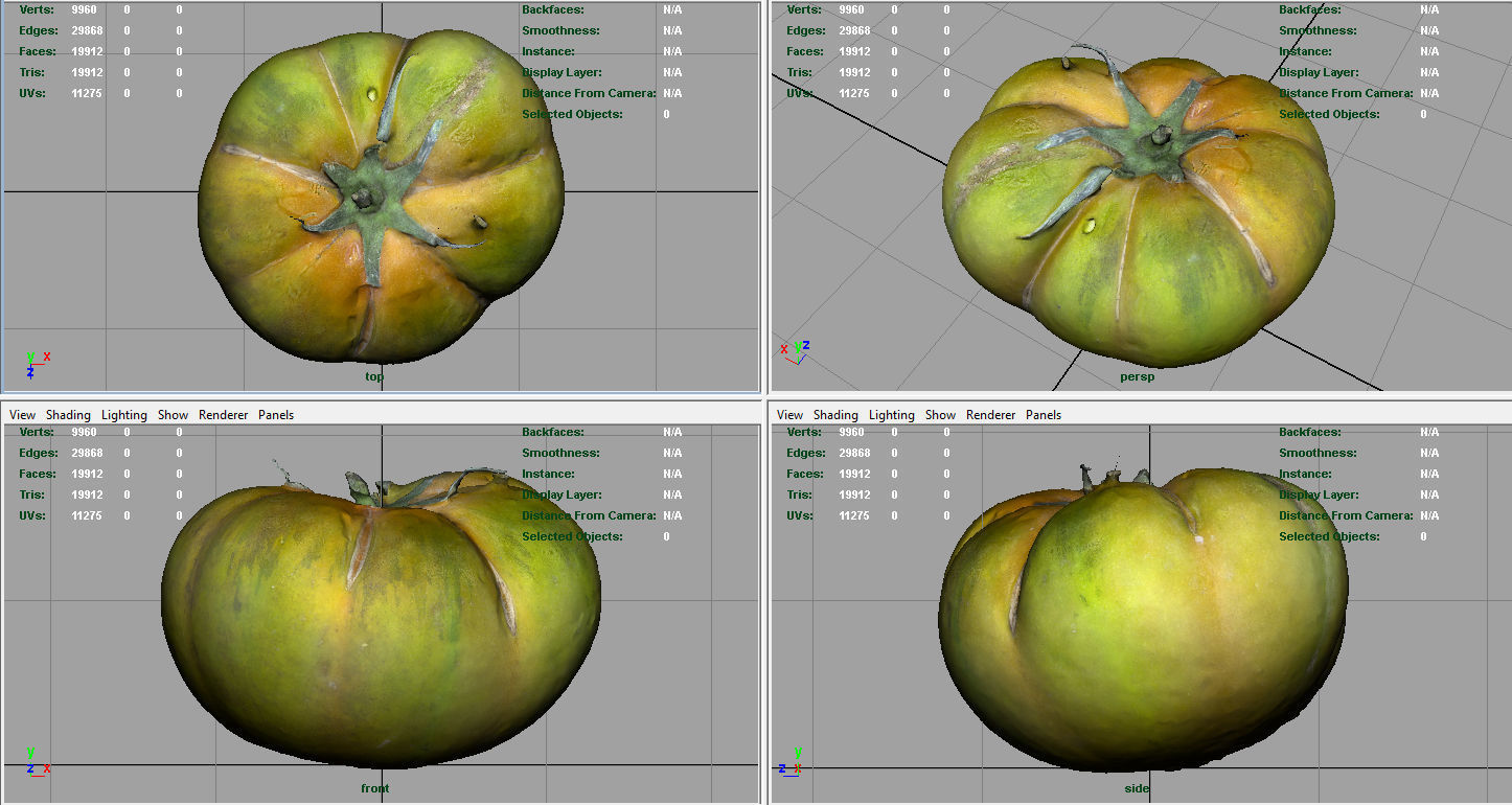 TOMATO 1 Low-poly 3D model_8