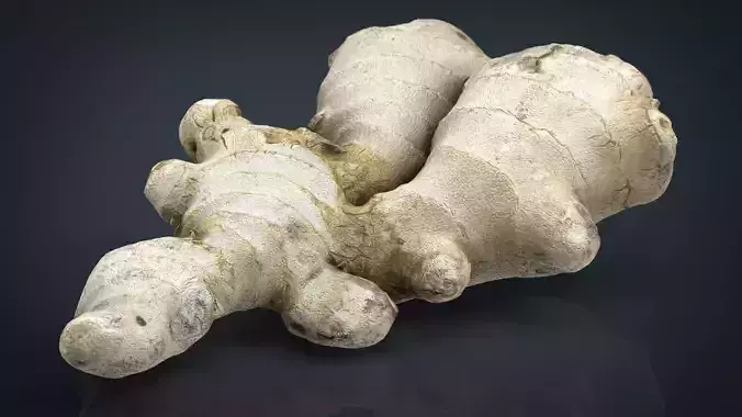 Ginger root Low-poly 3D model