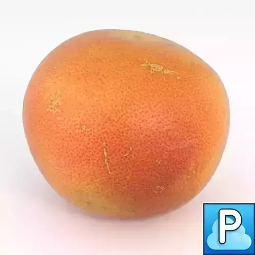 Photorealistic Grapefruit Orange