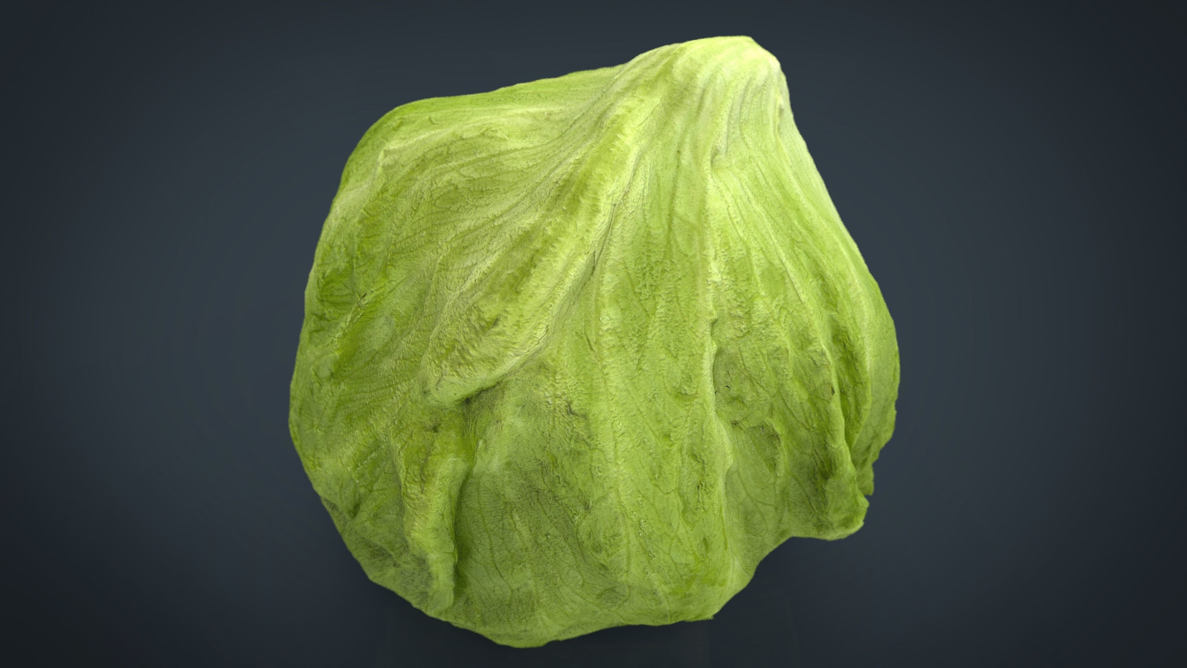 Iceberg Lettuce Low-poly 3D model_8