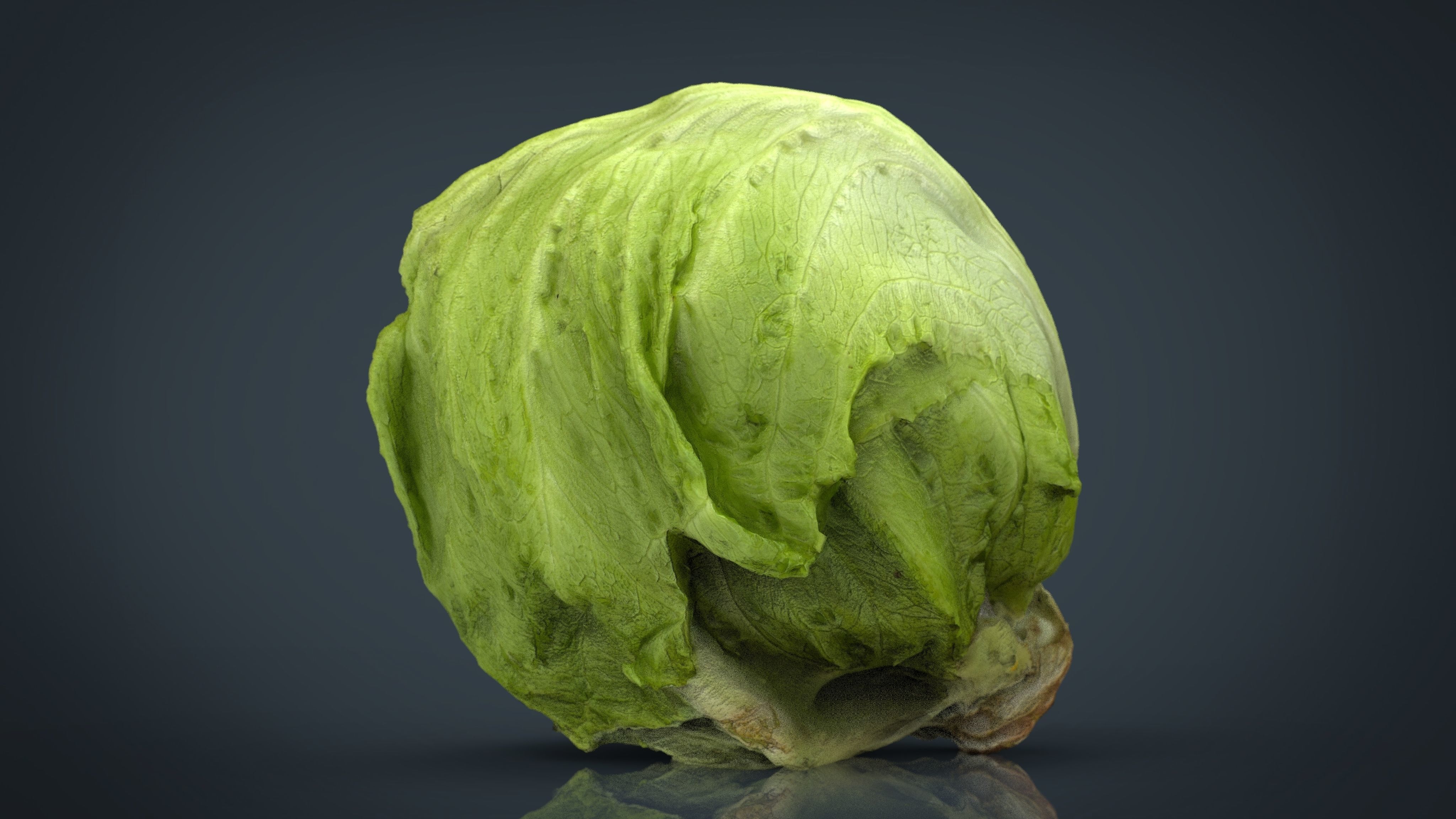 Iceberg Lettuce Low-poly 3D model_9
