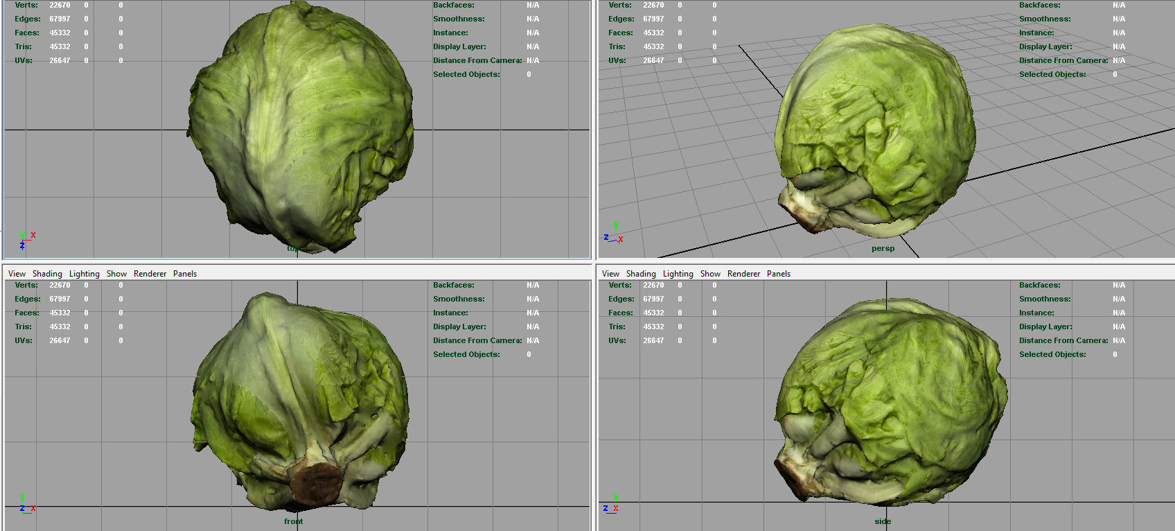 Iceberg Lettuce Low-poly 3D model_6