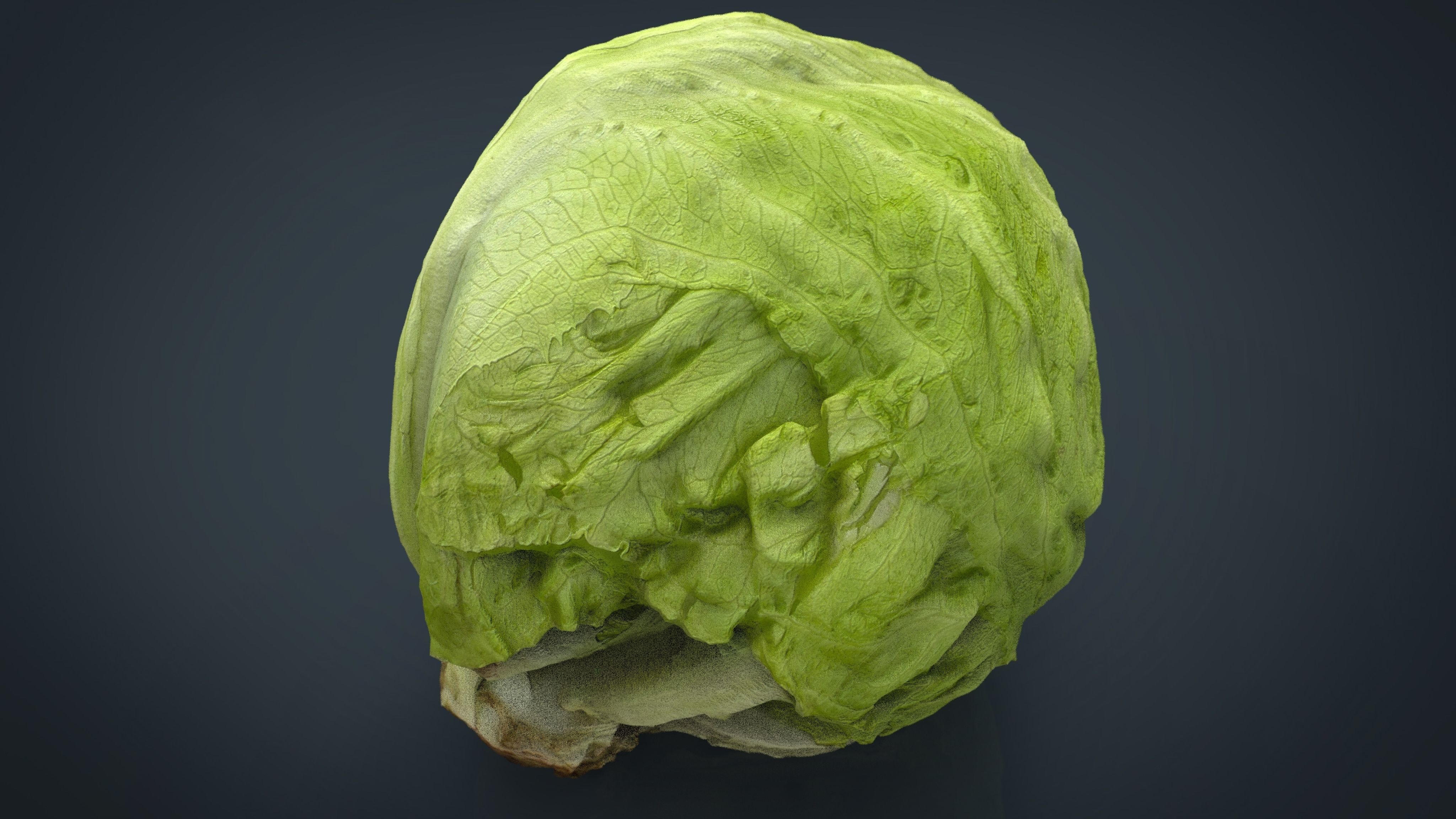 Iceberg Lettuce Low-poly 3D model_15