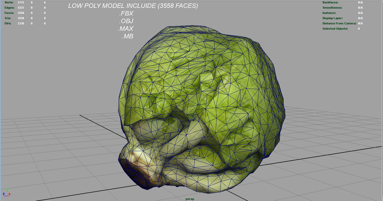 Iceberg Lettuce Low-poly 3D model_14