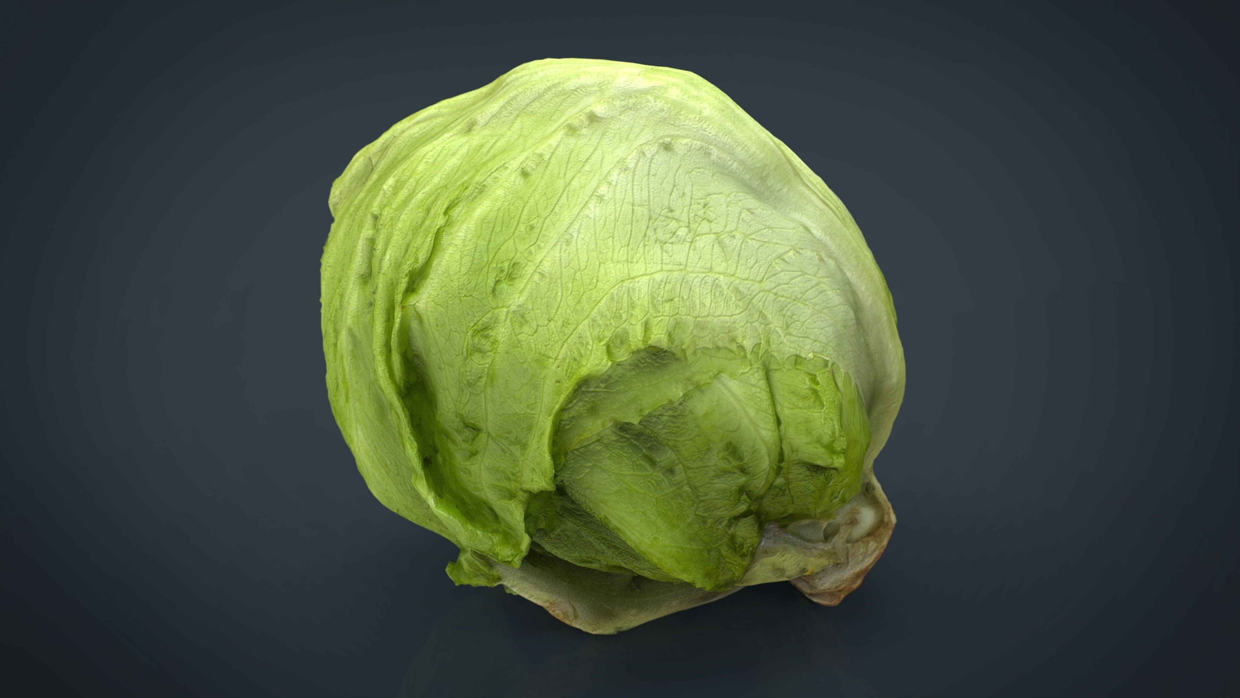 Iceberg Lettuce Low-poly 3D model_7
