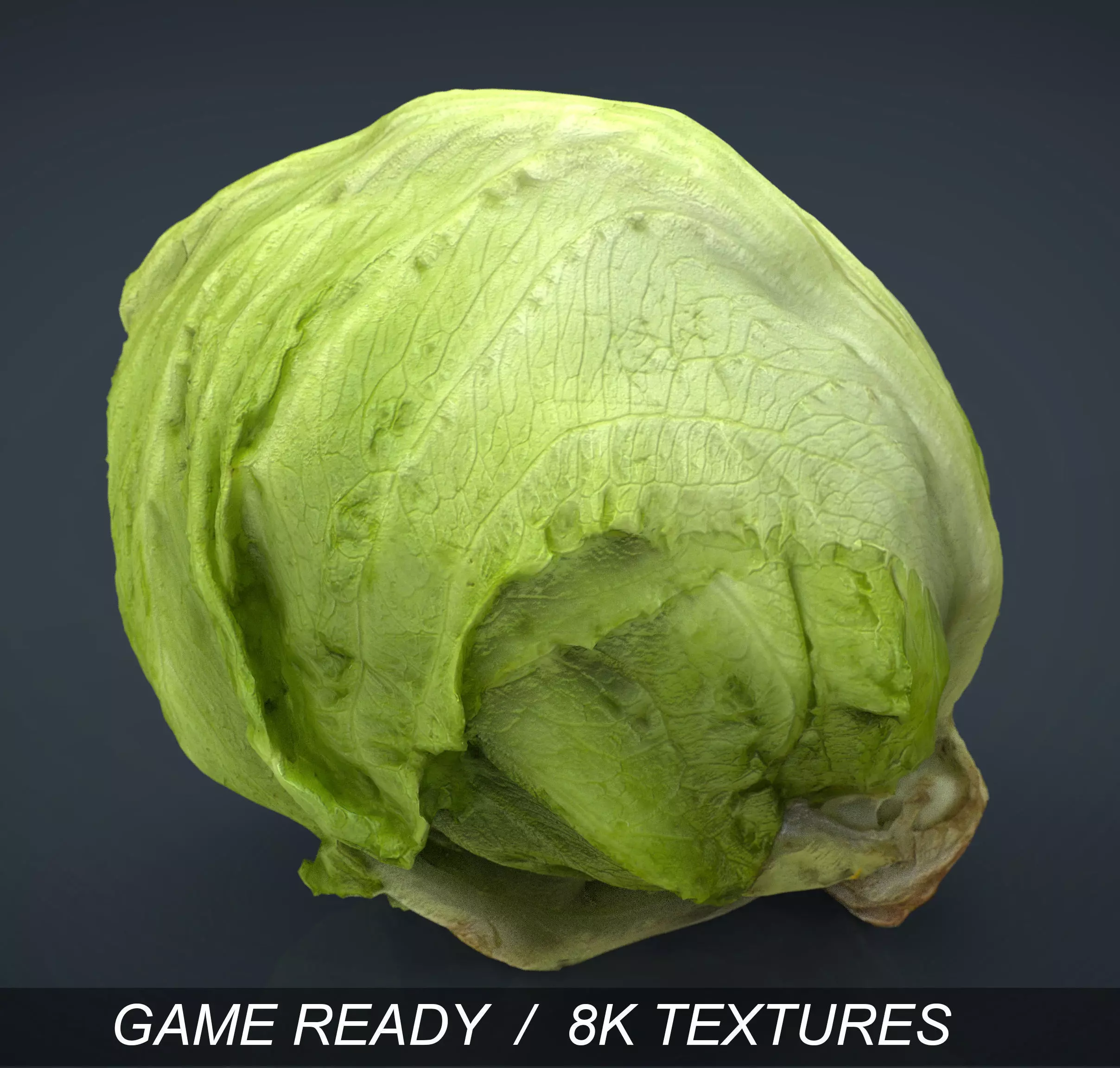Iceberg Lettuce Low-poly 3D model_0