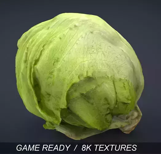 Iceberg Lettuce Low-poly 3D model