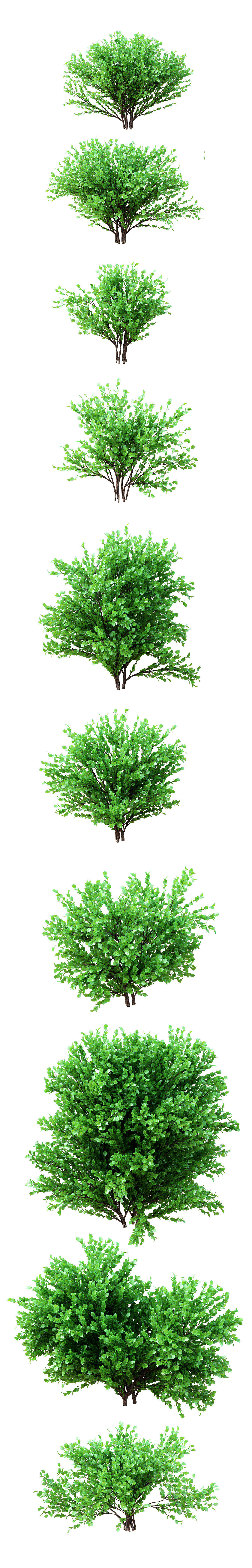 Set deciduous shrubs 10 species 3D model_1