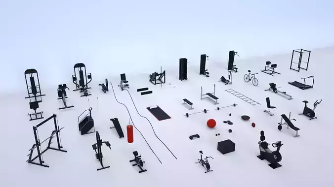Massive Gym Equipment Collection 3D model