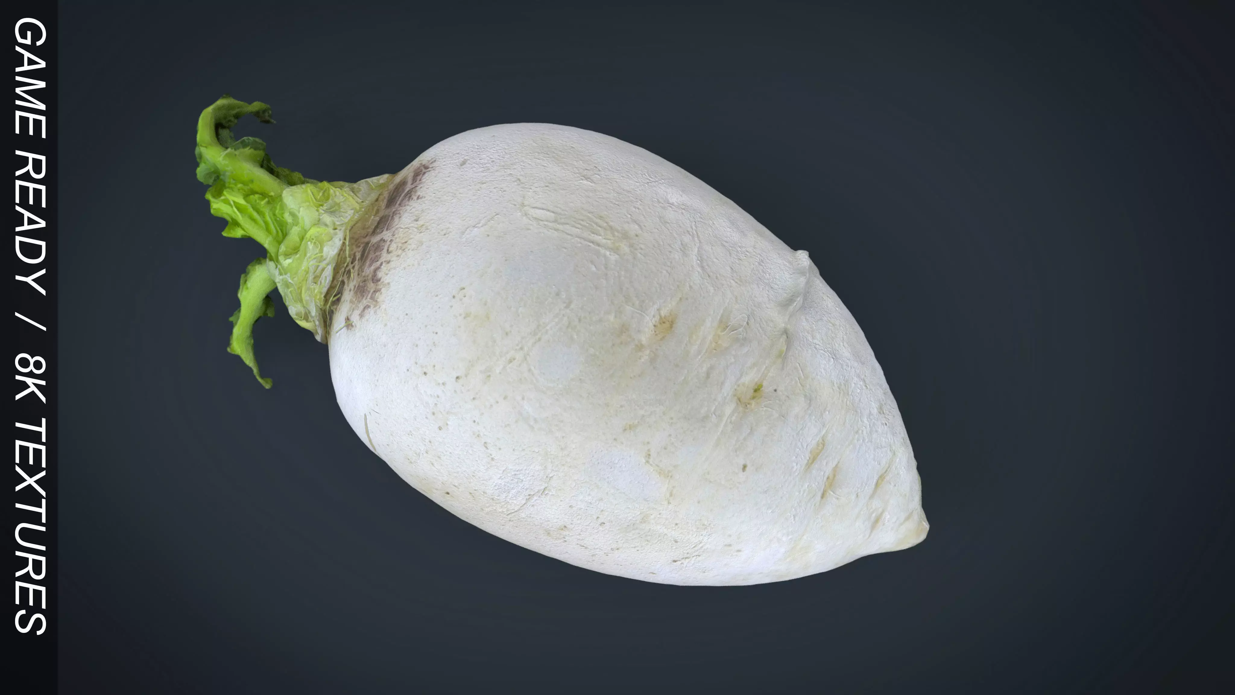 Turnip Low-poly 3D model