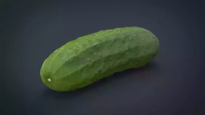 Cucumber Low-poly 3D model