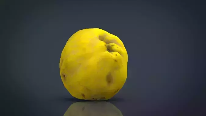 Grapefruit potato Low-poly 3D model