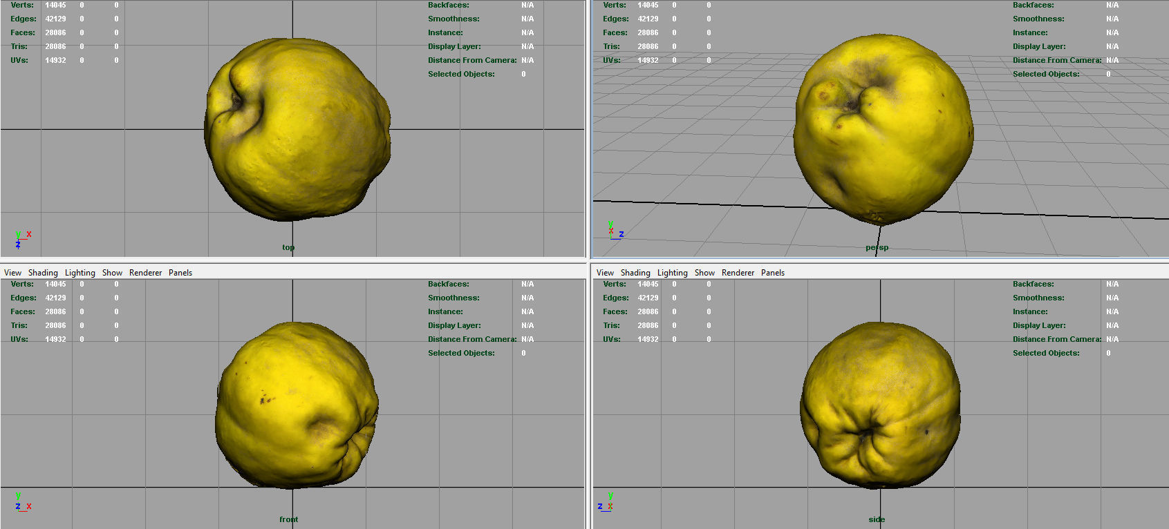 Grapefruit potato Low-poly 3D model_8