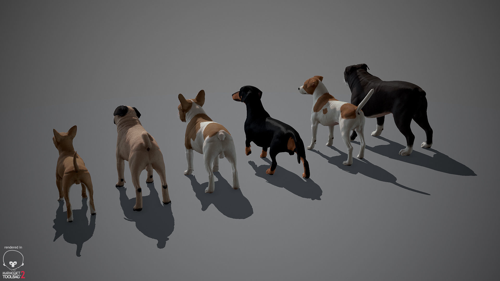 Companion Dog Pack Low-poly 3D model_2