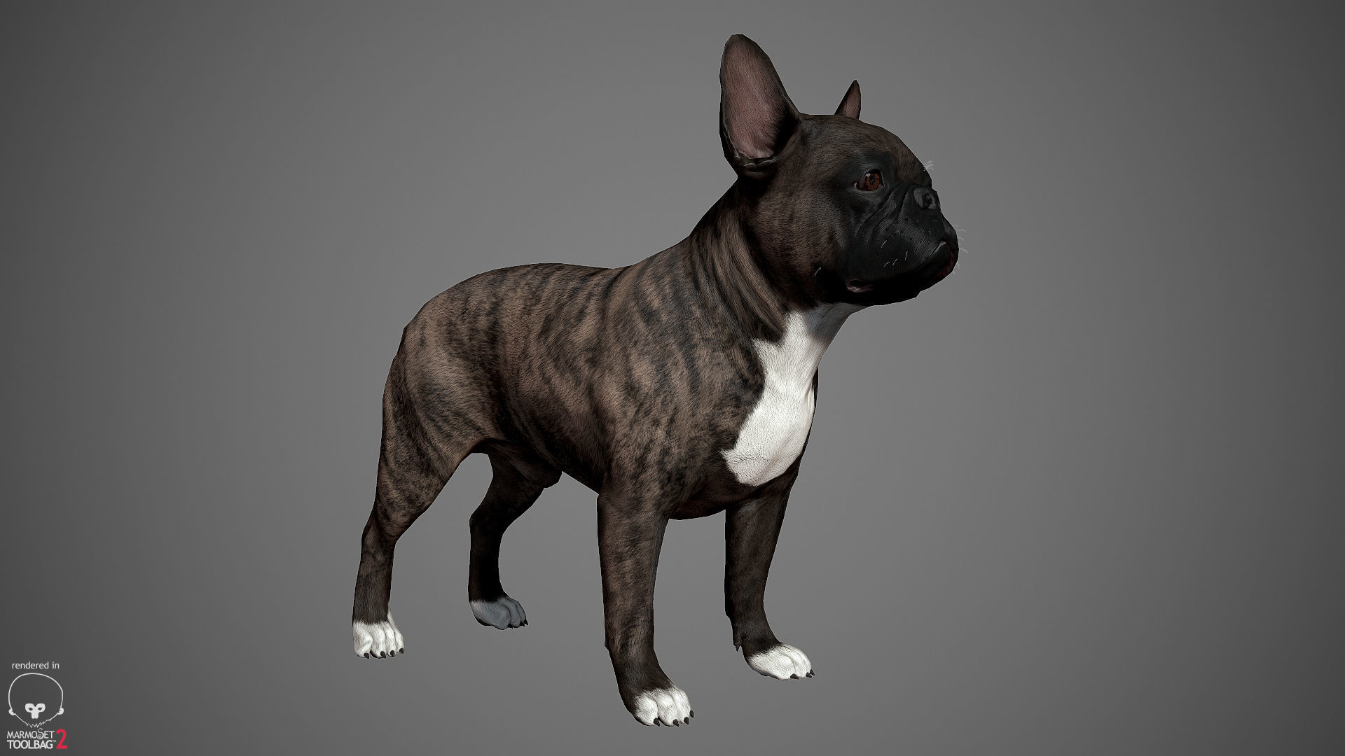 Companion Dog Pack Low-poly 3D model_10