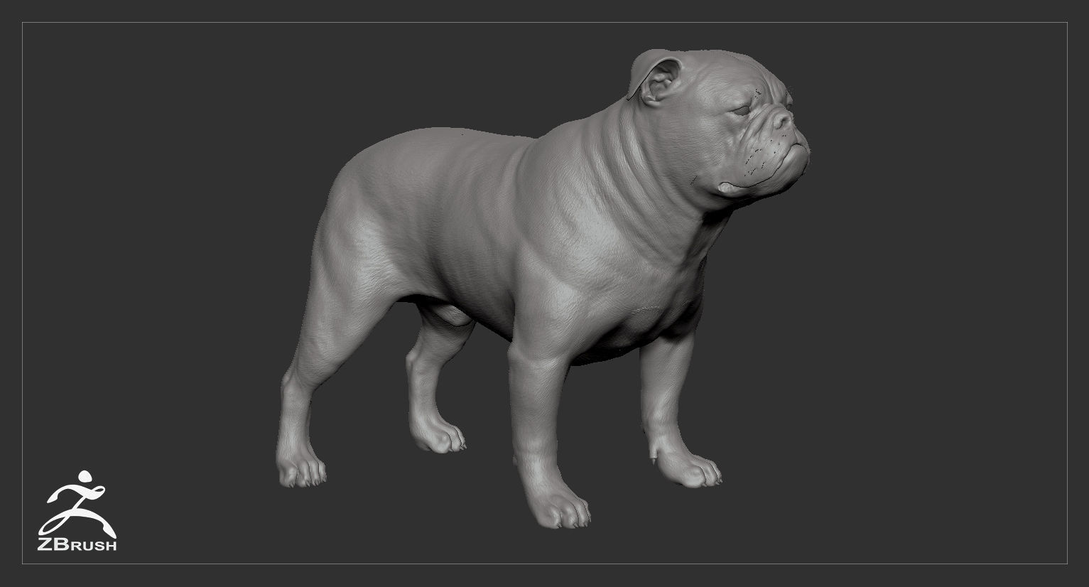 Companion Dog Pack Low-poly 3D model_38