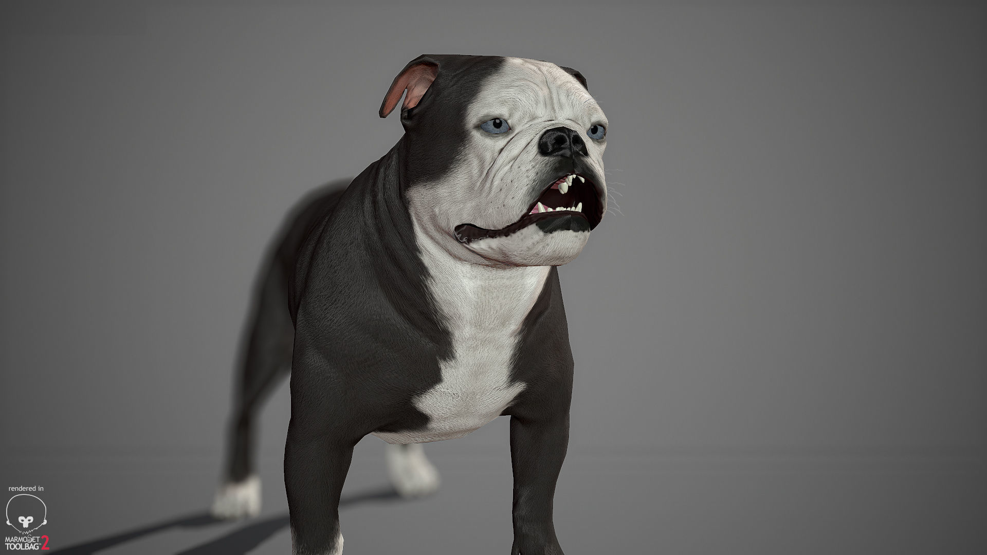 Companion Dog Pack Low-poly 3D model_26