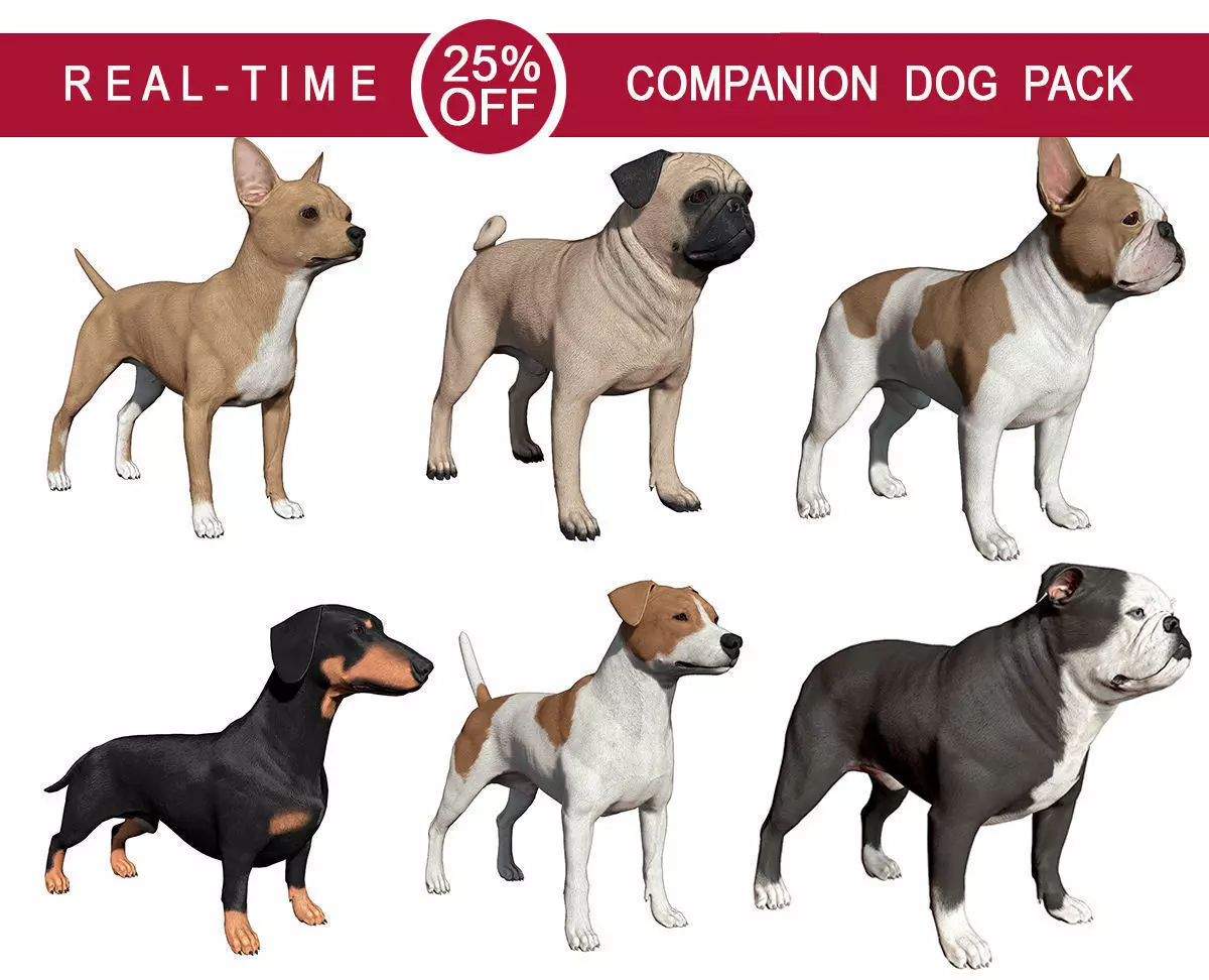 Companion Dog Pack Low-poly 3D model_0