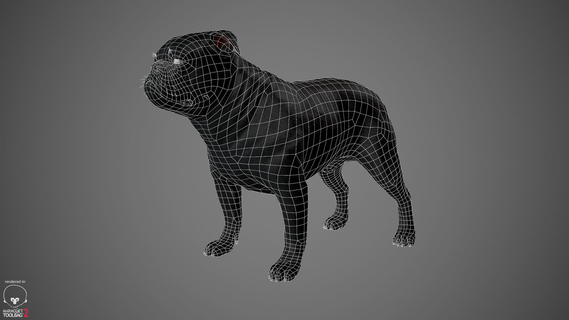 Companion Dog Pack Low-poly 3D model_32