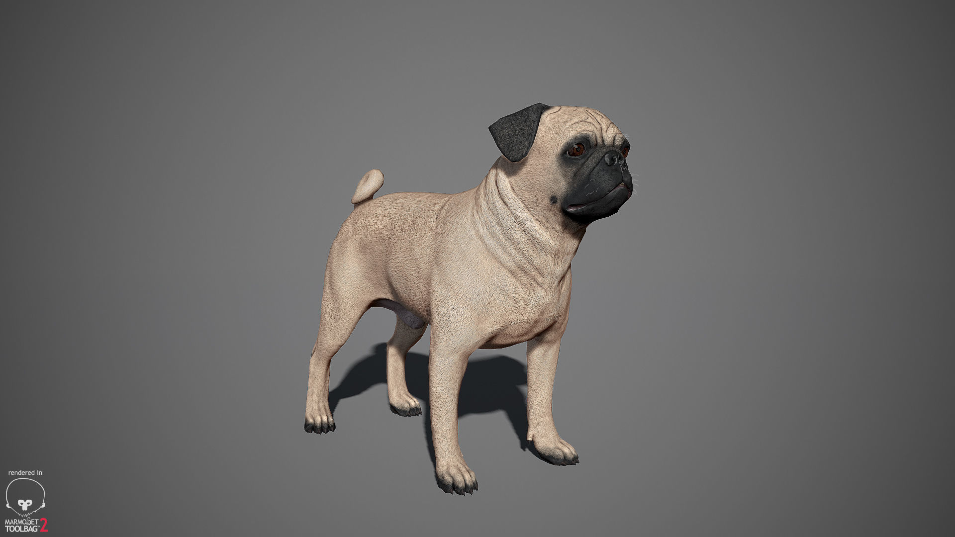 Companion Dog Pack Low-poly 3D model_6