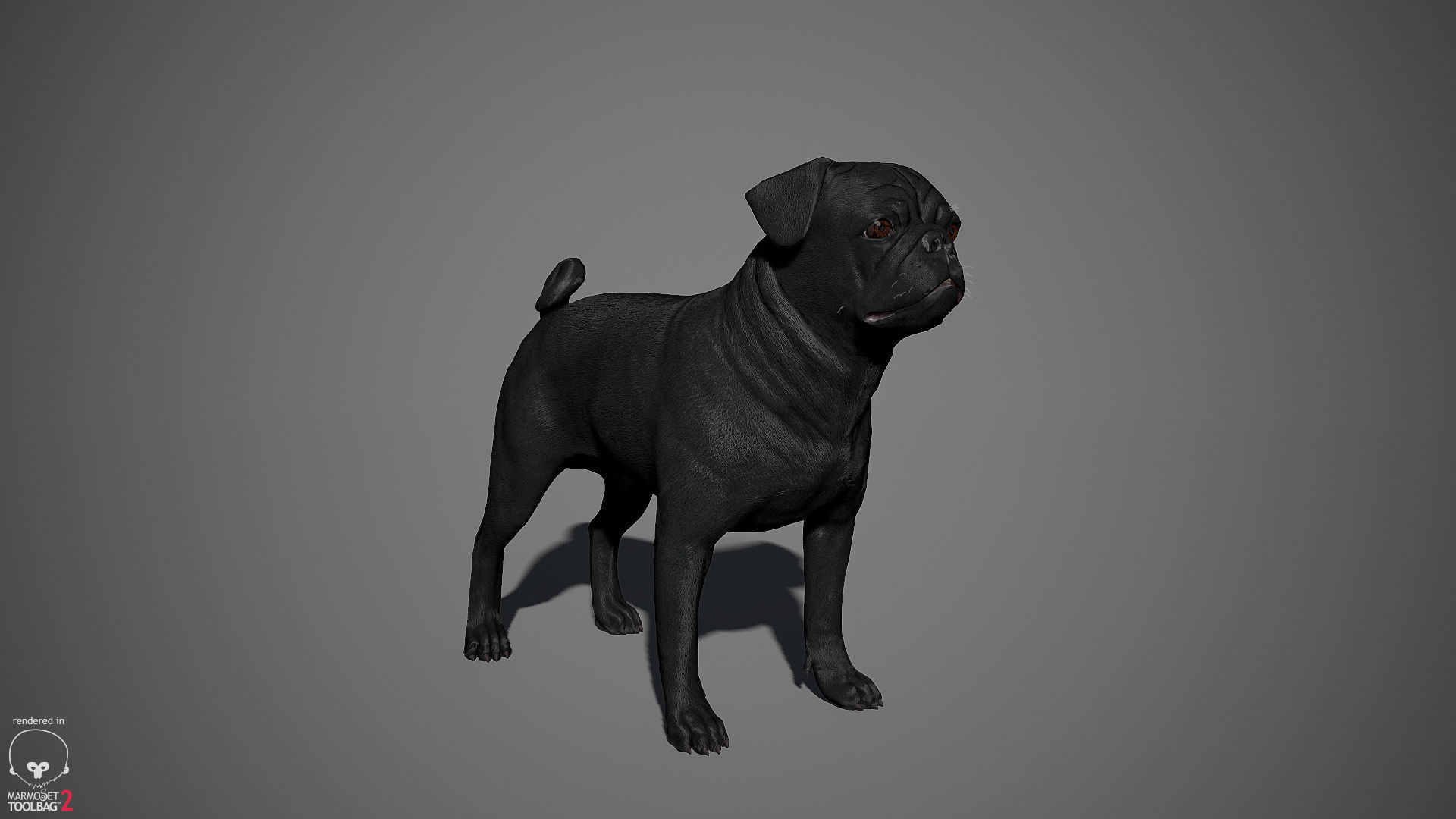 Companion Dog Pack Low-poly 3D model_7