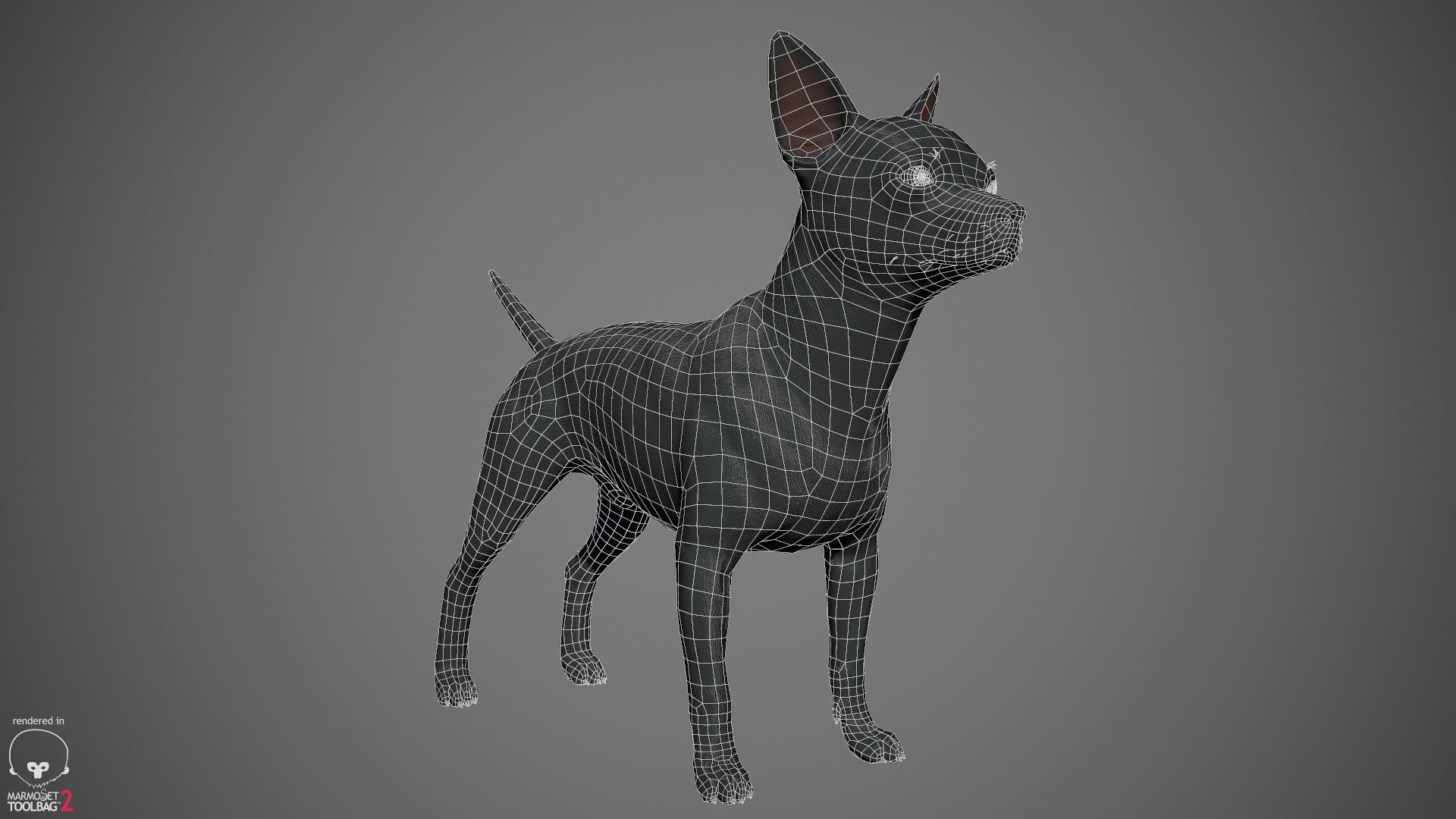 Companion Dog Pack Low-poly 3D model_27