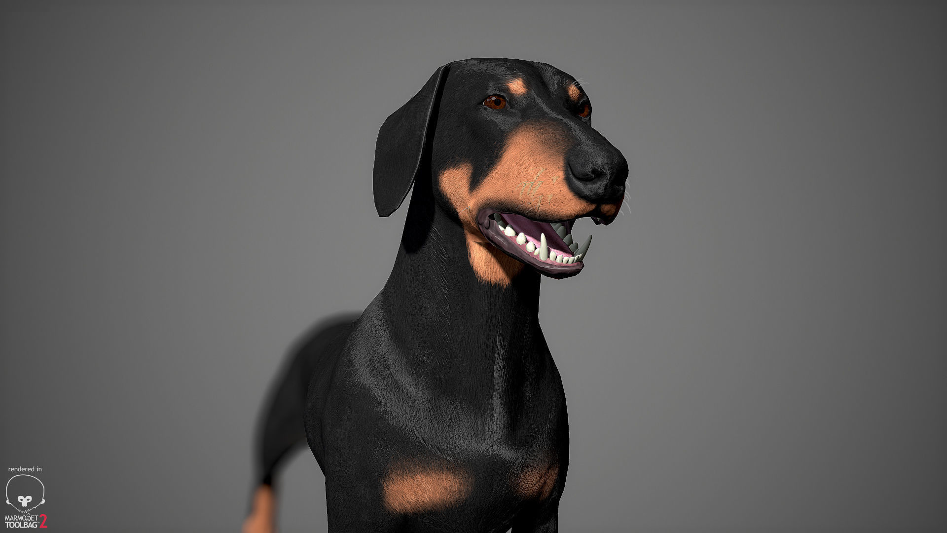Companion Dog Pack Low-poly 3D model_24