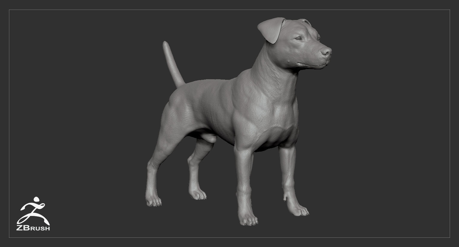 Companion Dog Pack Low-poly 3D model_37