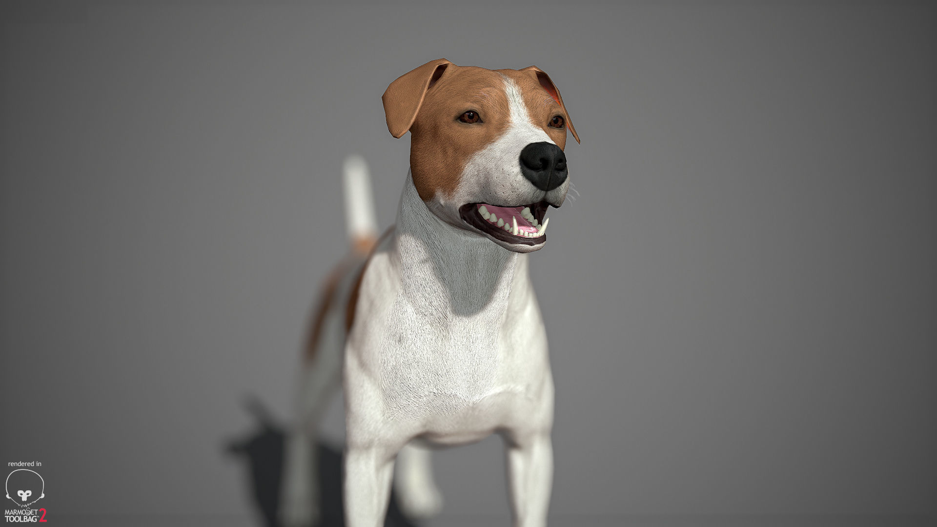 Companion Dog Pack Low-poly 3D model_25