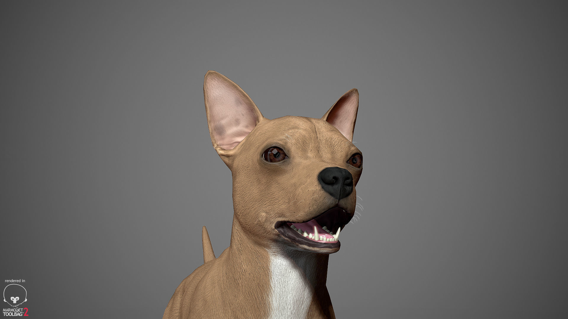 Companion Dog Pack Low-poly 3D model_21