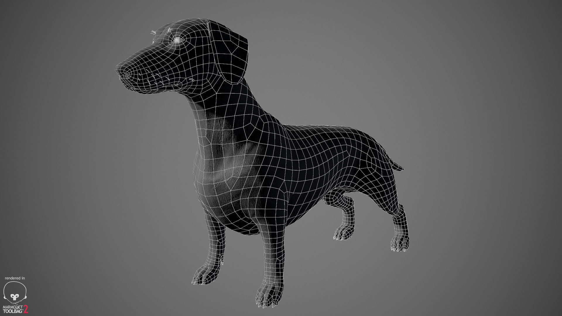 Companion Dog Pack Low-poly 3D model_30
