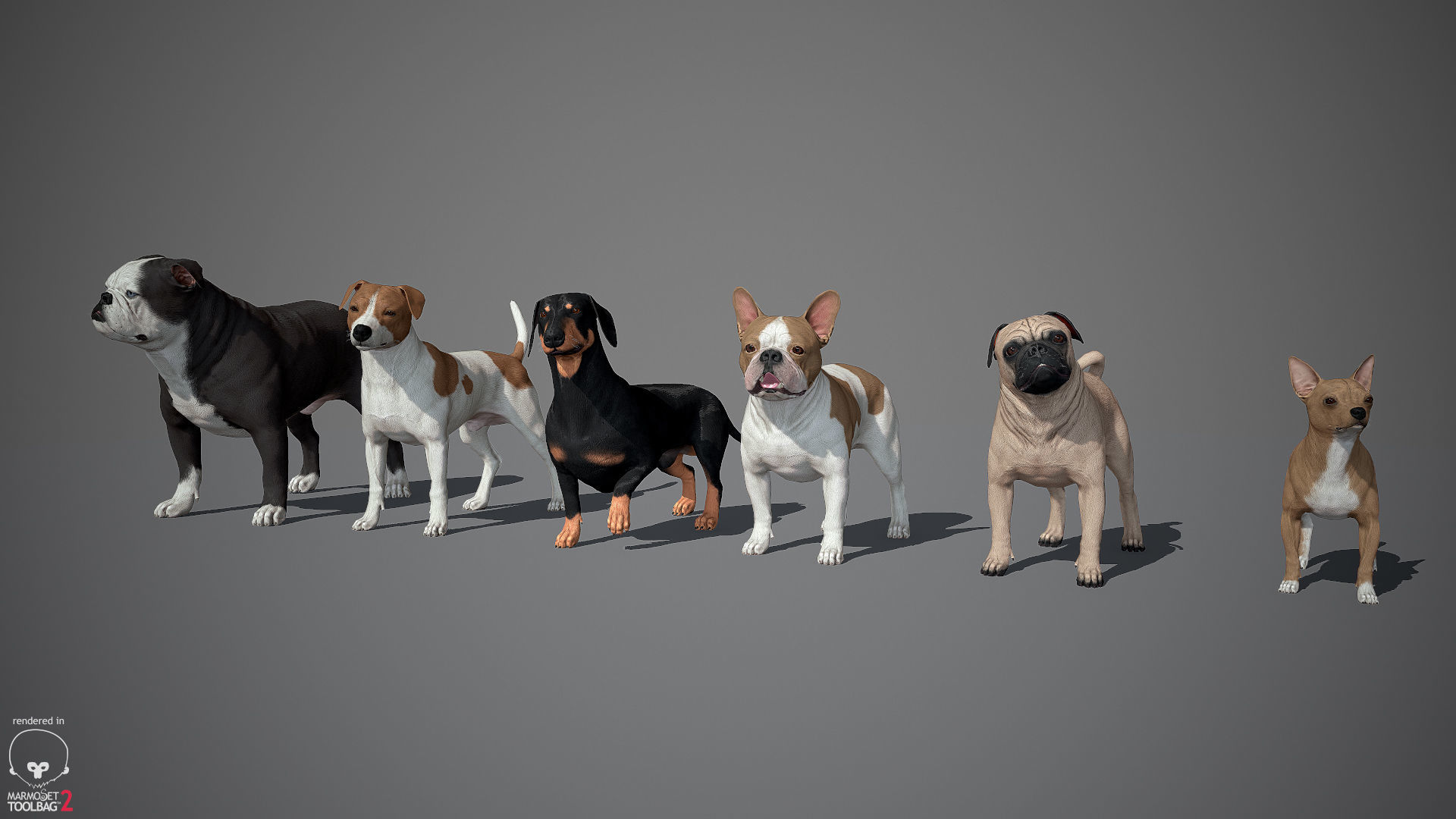Companion Dog Pack Low-poly 3D model_1