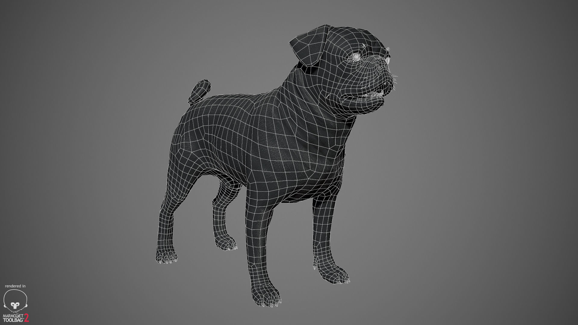 Companion Dog Pack Low-poly 3D model_28