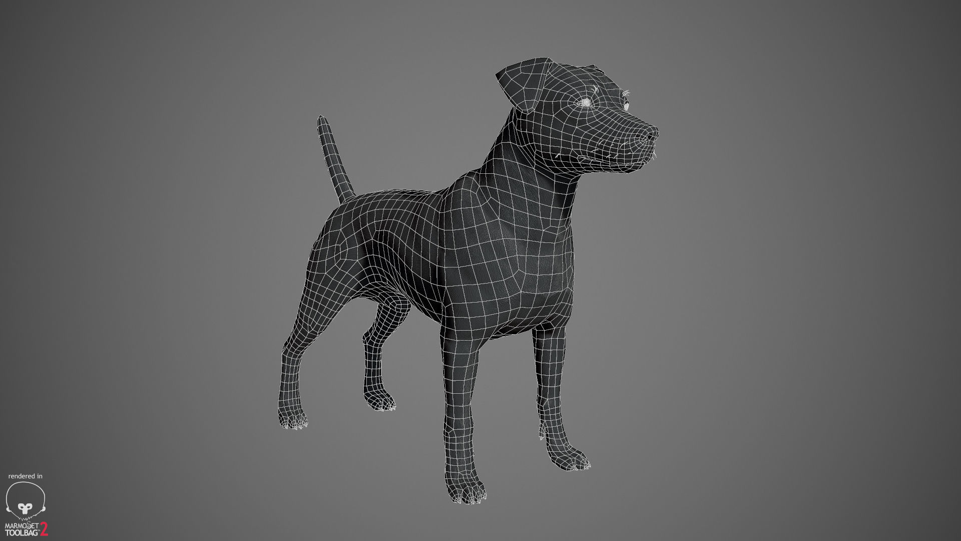 Companion Dog Pack Low-poly 3D model_31