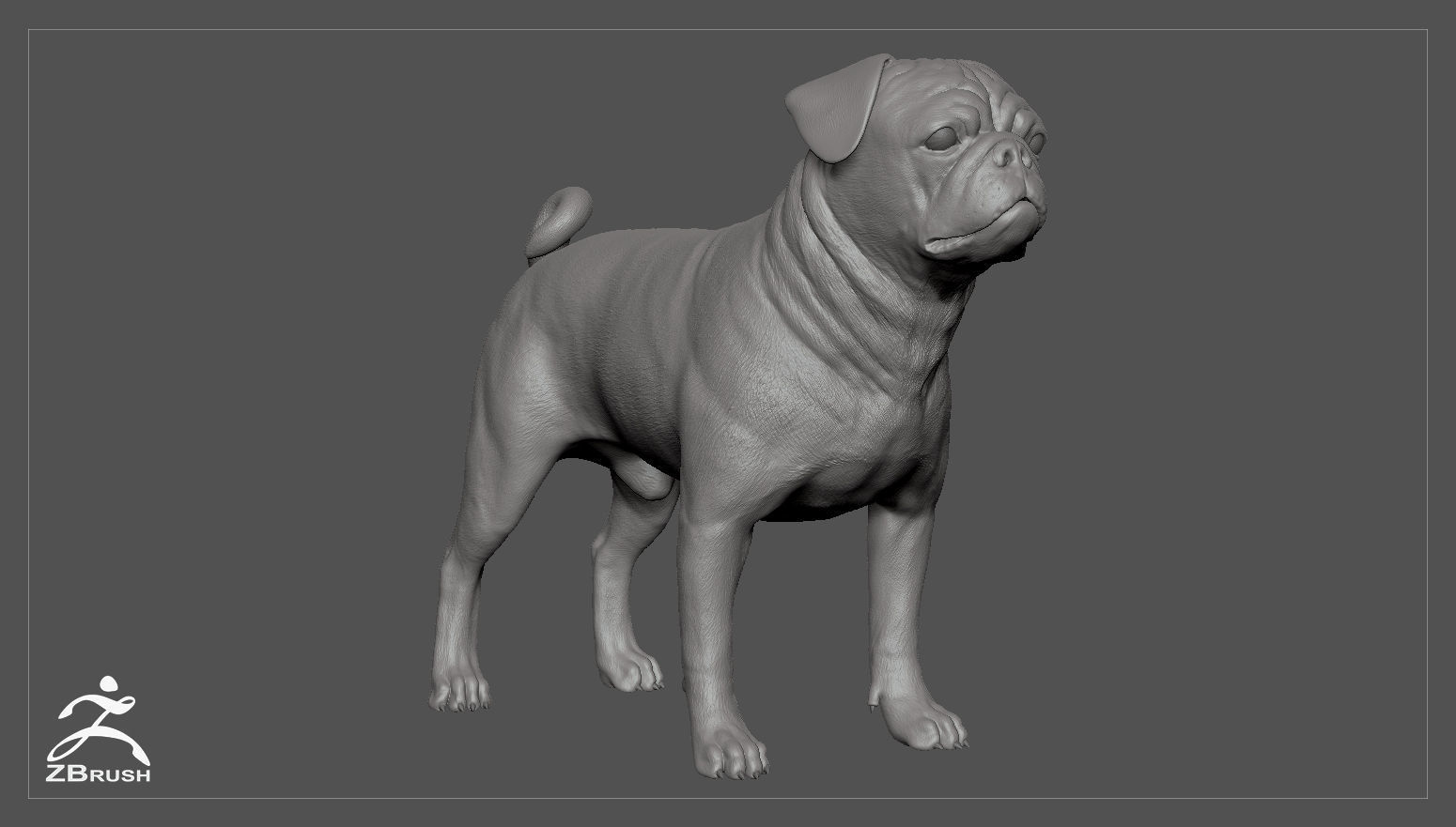 Companion Dog Pack Low-poly 3D model_34