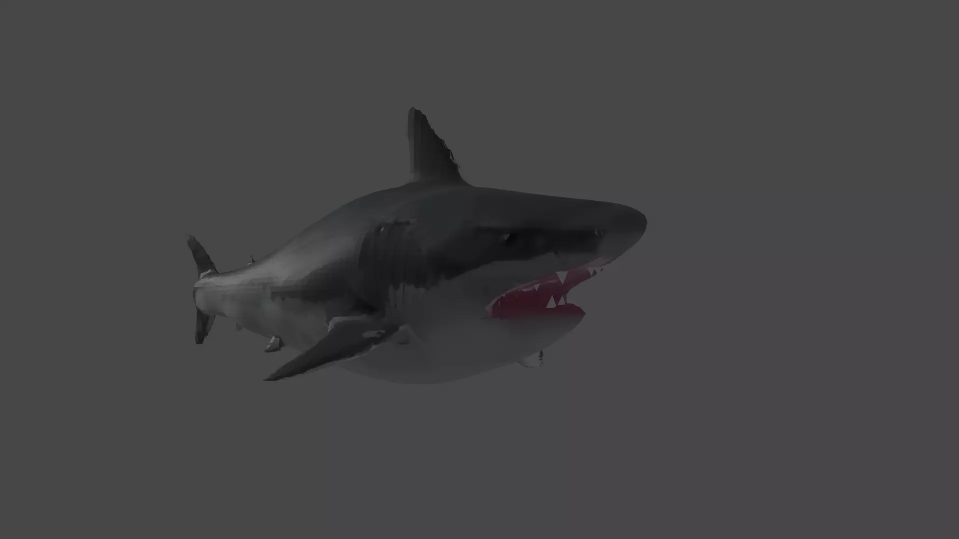 Rigged Realistic Shark Low-poly 3D model
