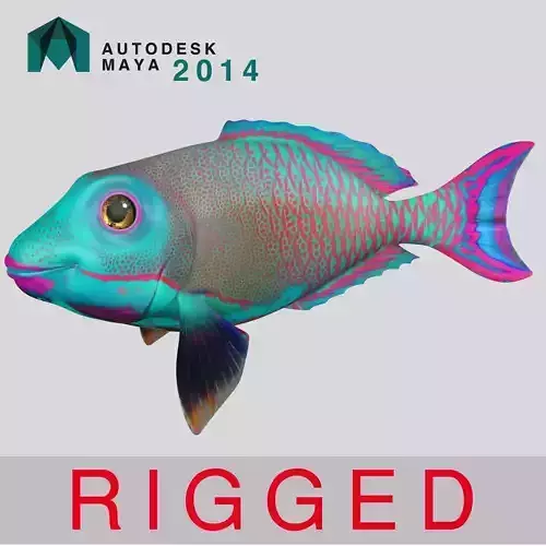 FISH RIGGED  3D model