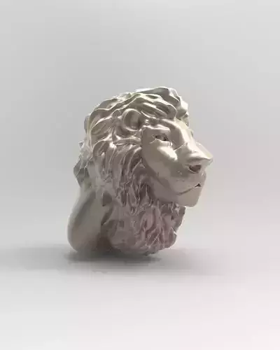 LION HEAD