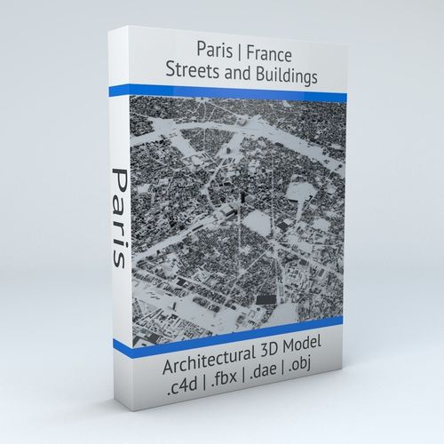 Paris Streets and Buildings 3D model