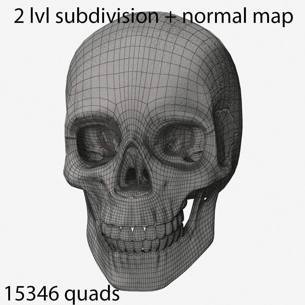 skull low poly and high poly pbr Low-poly 3D model_12
