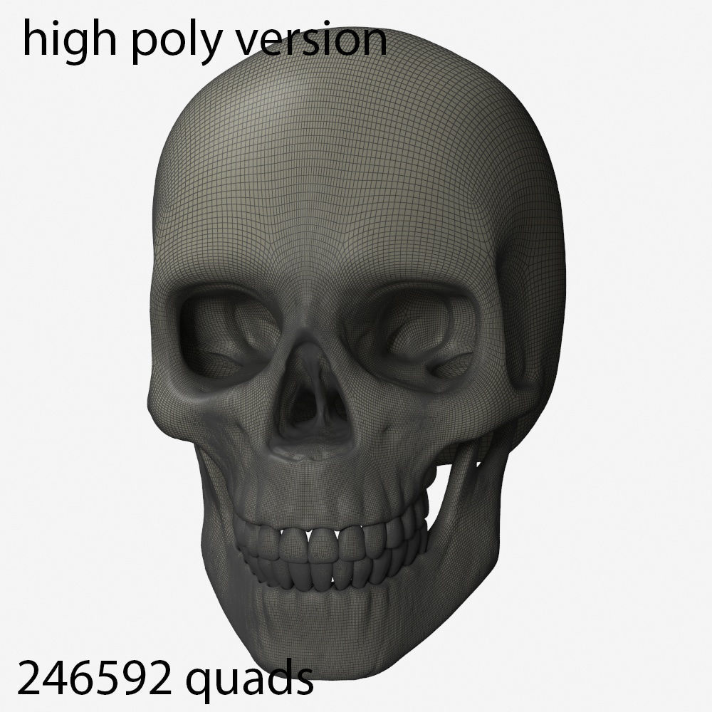 skull low poly and high poly pbr Low-poly 3D model_10