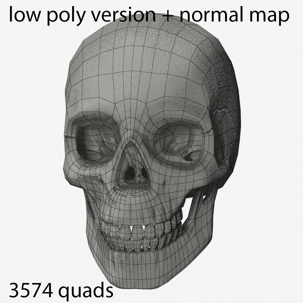 skull low poly and high poly pbr Low-poly 3D model_8