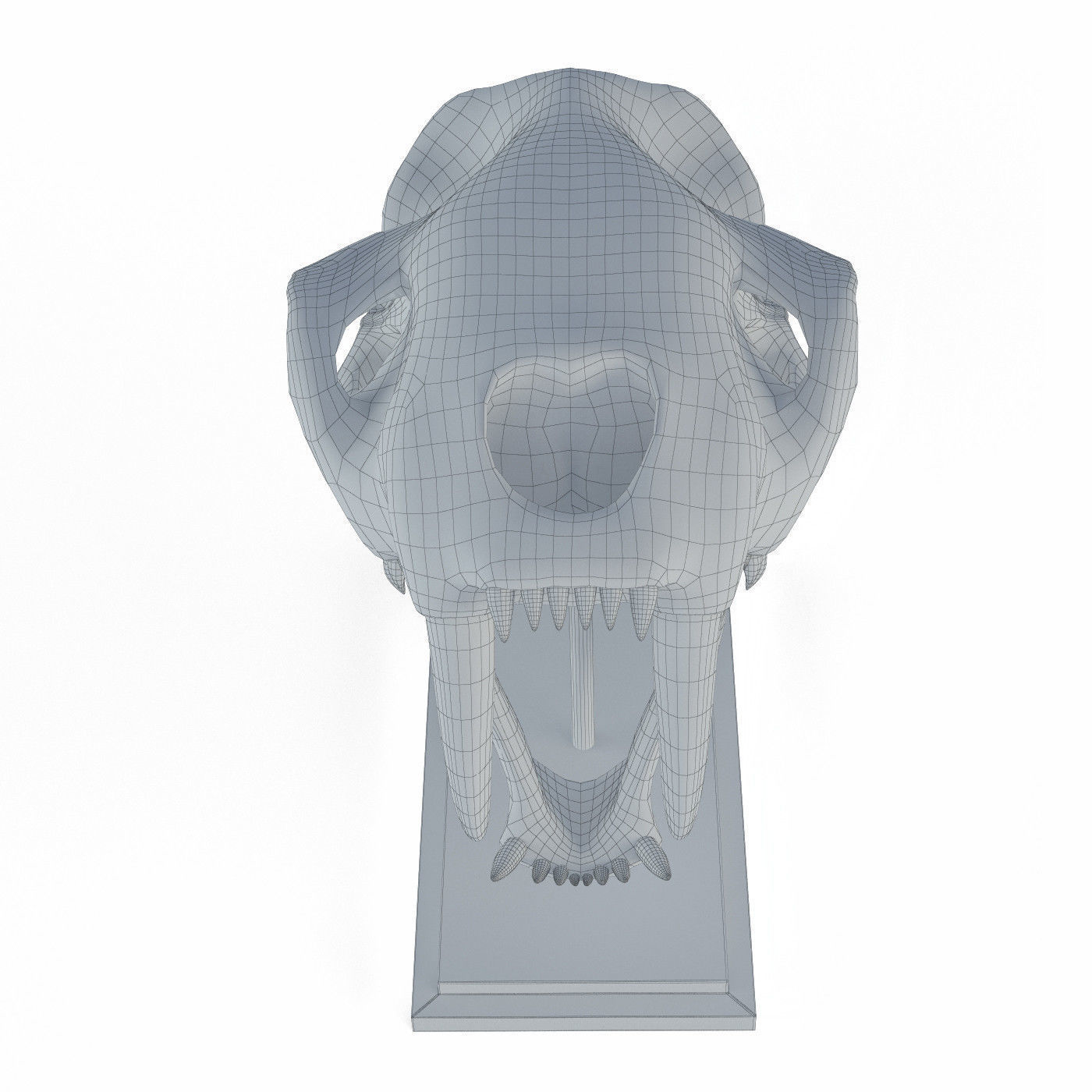 Saber tooth tiger skull Low-poly 3D model_5