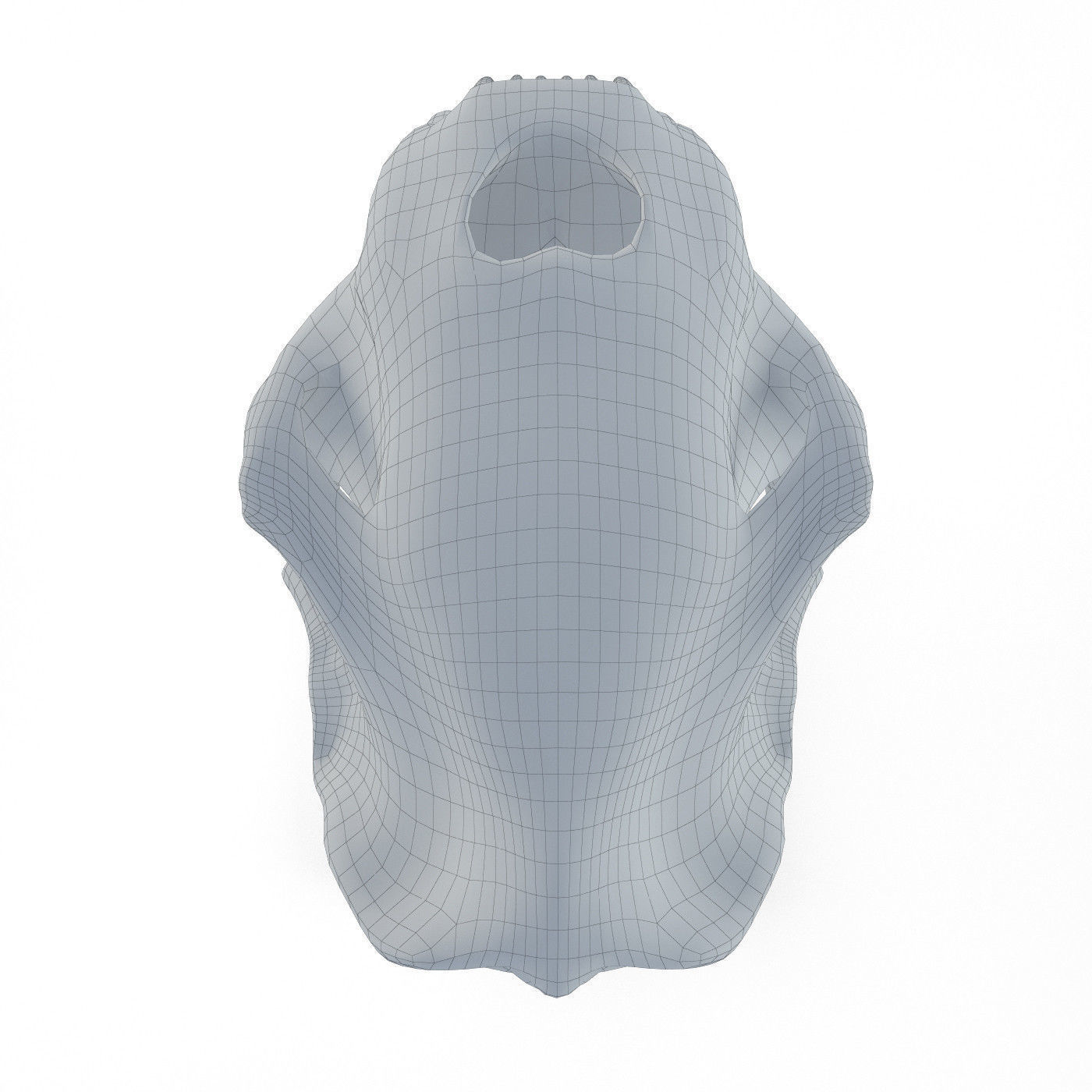 Saber tooth tiger skull Low-poly 3D model_7