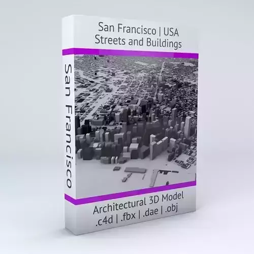 San Francisco Streets and Buildings 3D model