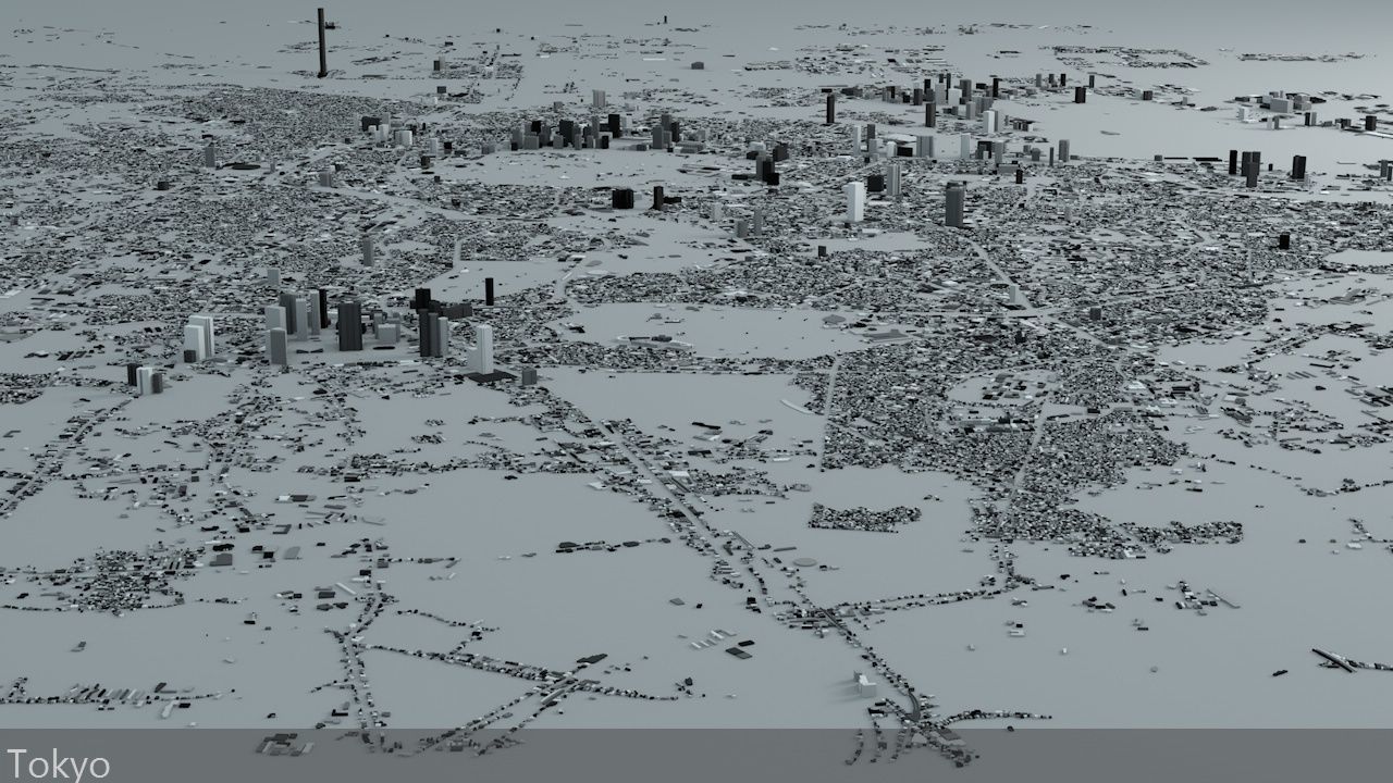 Tokyo Streets and Buildings 3D model_2