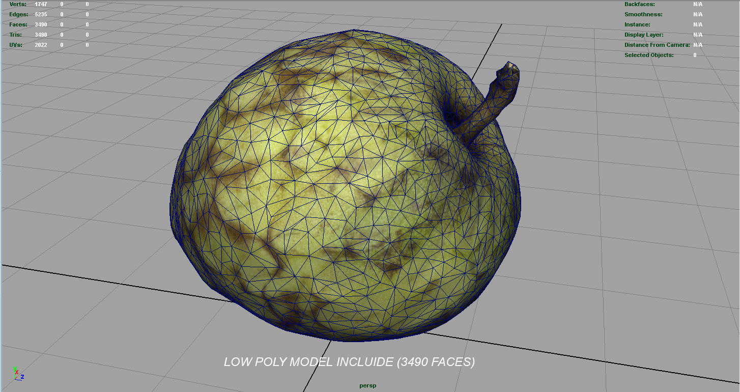 Custard Apple Low-poly 3D model_12